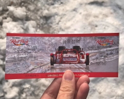 [KOREA TRAVELS] A DAY IN GANGCHON RAIL BIKE , NAMI ISLAND AND GARDEN OF MORNING CALM BY TRAZY.COM
